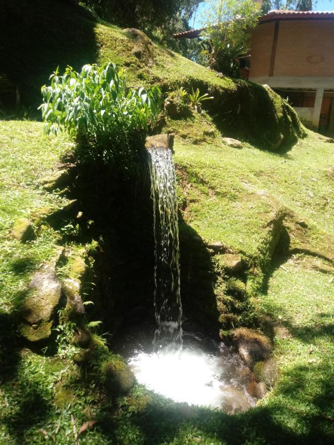 Chale Truta da Floresta 2 Visconde de Mauá Exterior foto
